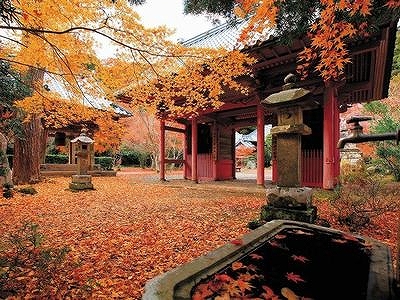 晩秋の隠れた名刹・小松寺は、京都嵯峨野の風情
