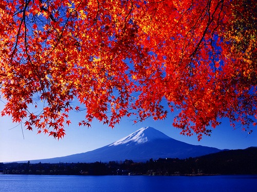 紅葉と富士山　１０月下旬～１１月中旬は紅葉まつり開催♪