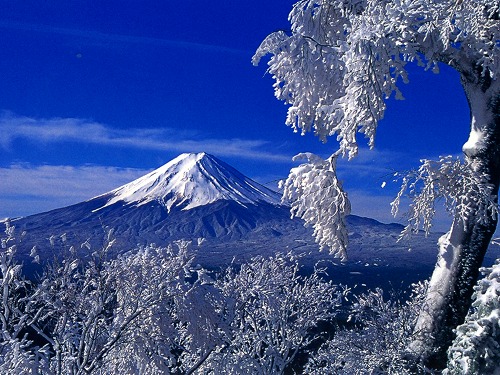 富士山！と言えばこの冠雪した富士山ですね♪