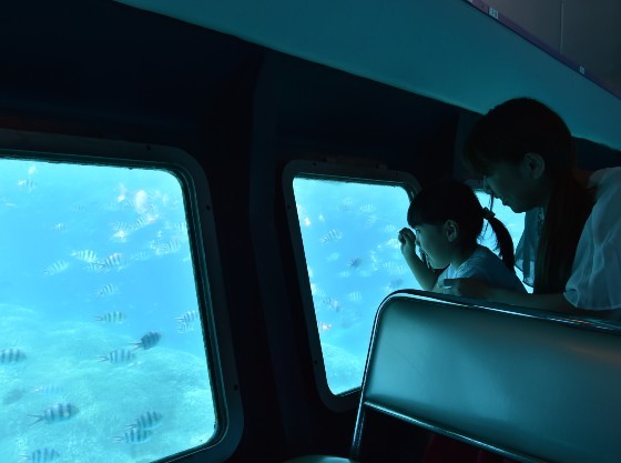 半潜水式水中観光船で海中のお散歩も楽しめます