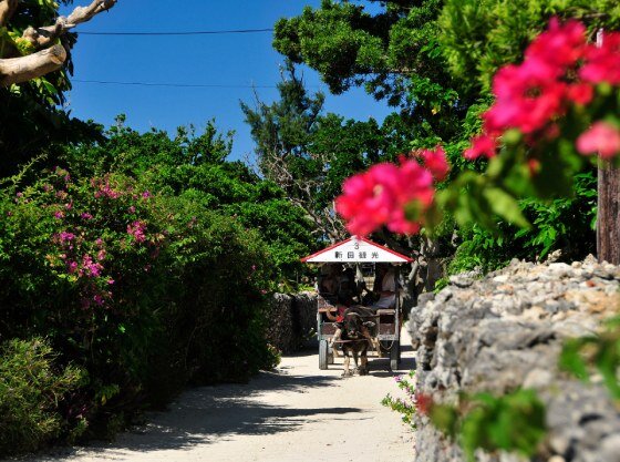 古き良き沖縄の原風景が色濃く残る竹富島