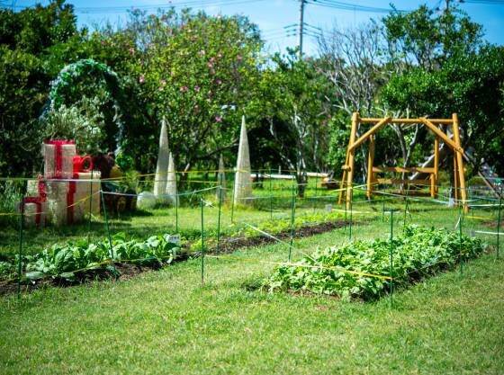キッズガーデンにキッズ農園を併設