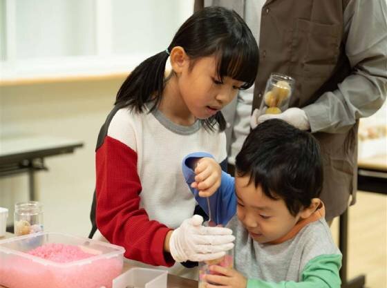 梅ジュース作り体験（イメージ）