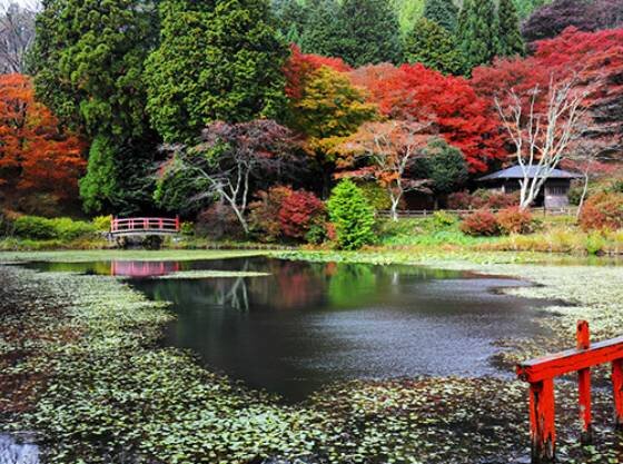 大和平野・吉野連山を一望、春はツツジ秋は紅葉。