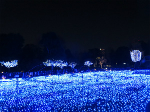都心を彩る青い幻想的なイルミ「ミッドタウン・クリスマス2015」（東京都）